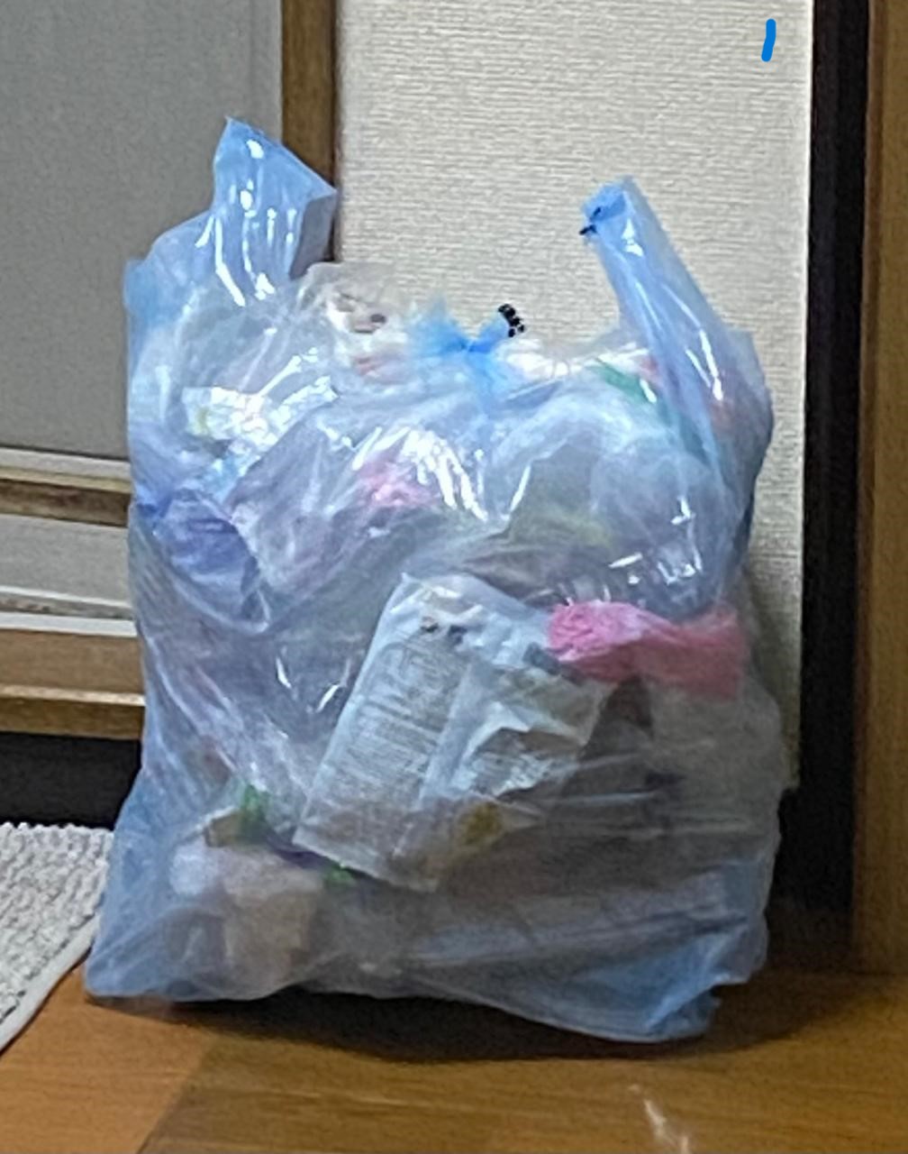 Pemilahan, Pengumpulan dan Pengangkutan Sampah di Salah Satu Area Kota Tokyo
